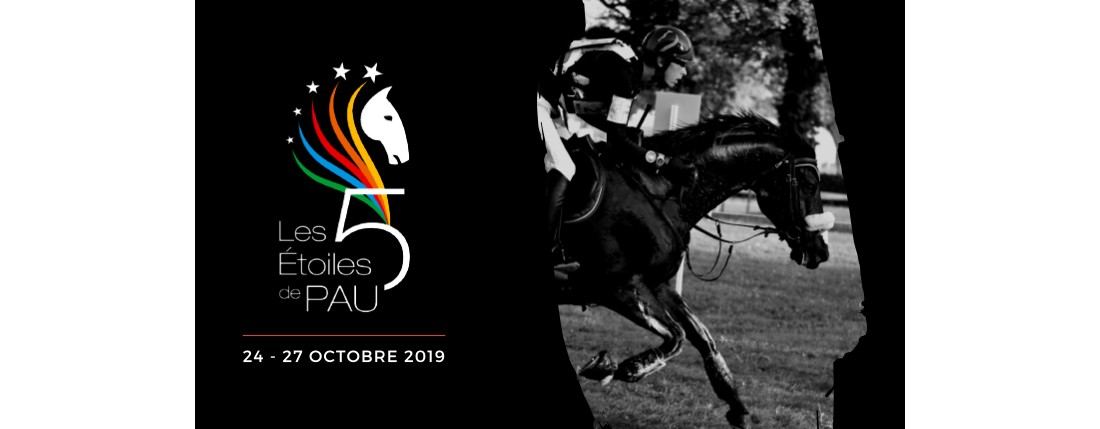 Les 5 étoiles de Pau à Pau en Béarn Pyrénées Affiche 5 étoiles de Pau à Pau en Béarn Pyrénées