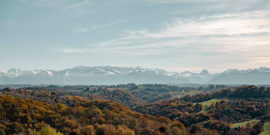 Paysage Béarn coteau du Jurançon